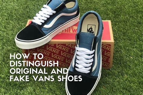 vans replica shoes india